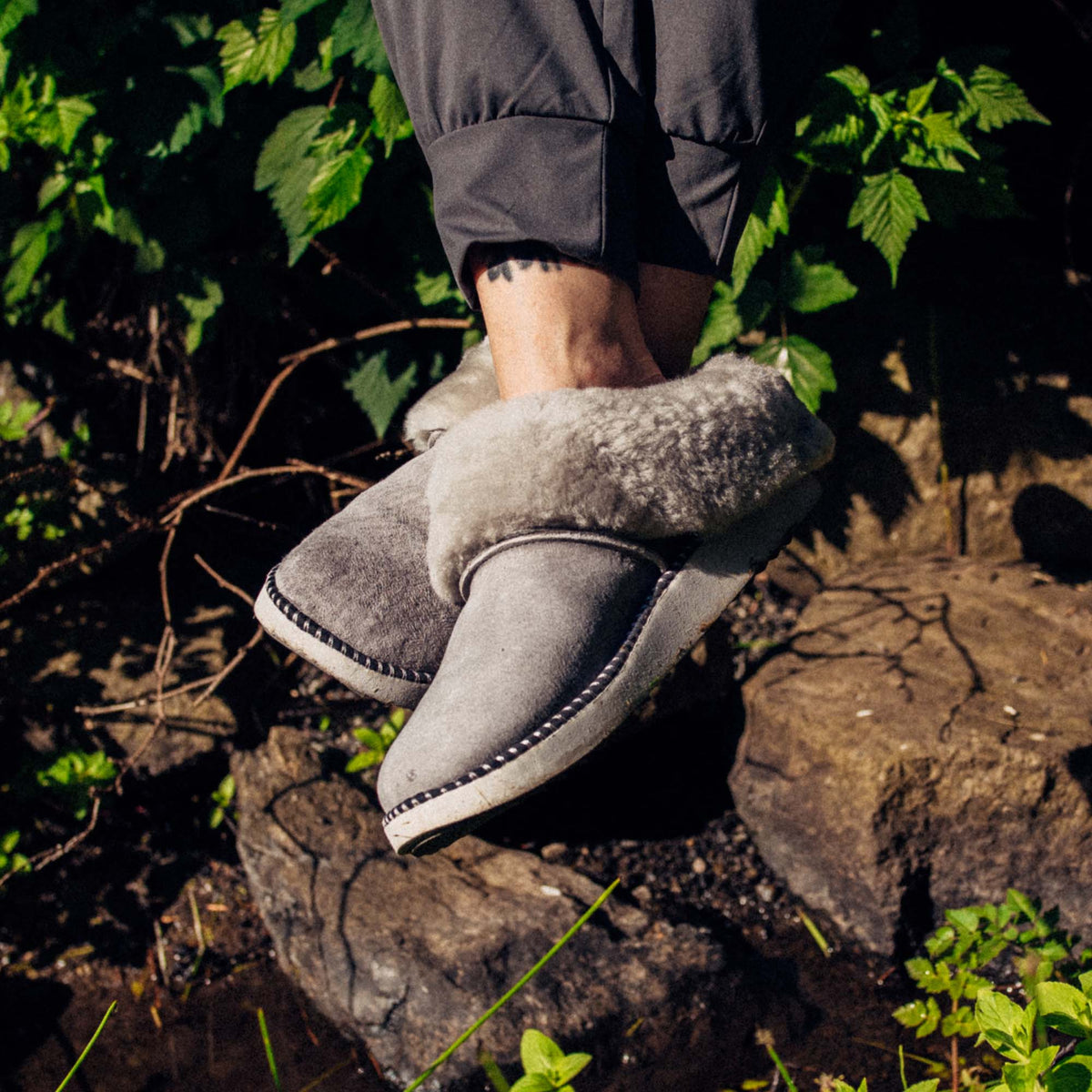 Fog / Mist Grey
